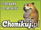 Słoneczniki - Cbrh3pi.jpg